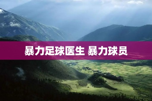 暴力足球医生 暴力球员