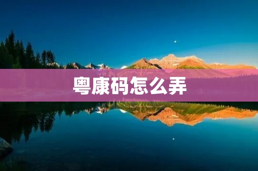粤康码怎么弄:详细指南