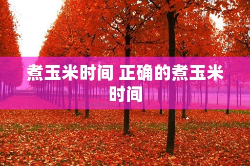 煮玉米时间 正确的煮玉米时间