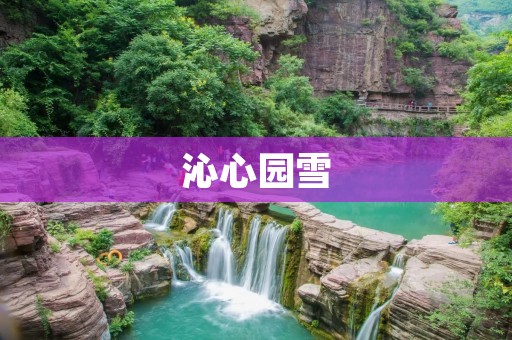 沁心园雪：冬日的美丽令人陶醉