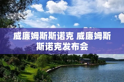 威廉姆斯斯诺克 威廉姆斯斯诺克发布会