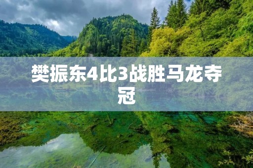 樊振东4比3战胜马龙夺冠