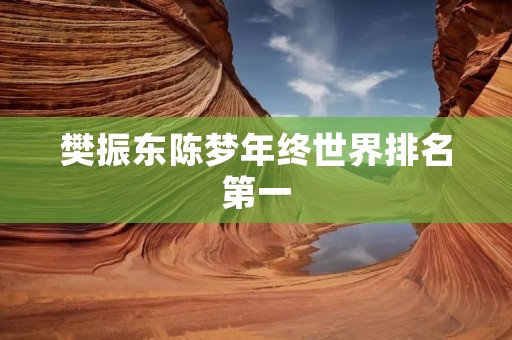 樊振东陈梦年终世界排名第一：中国乒乓球新一代领军人物崭露头角