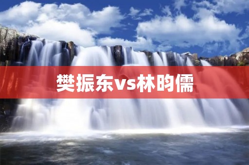 樊振东vs林昀儒：冠军争夺战