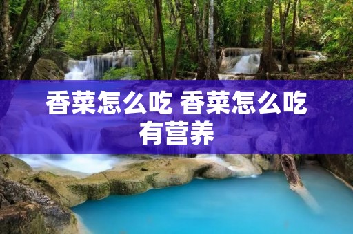 香菜怎么吃 香菜怎么吃有营养