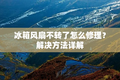 冰箱风扇不转了怎么修理？解决方法详解