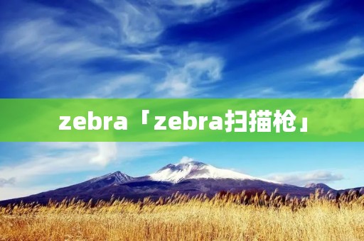 zebra「zebra扫描枪」