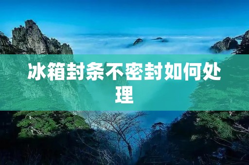 冰箱封条不密封如何处理