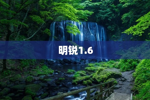 明锐1.6：纵享驾驭乐趣的动感力量