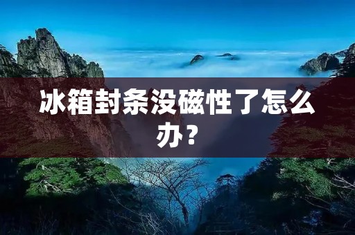 冰箱封条没磁性了怎么办? 冰箱封条没磁性了怎么办?