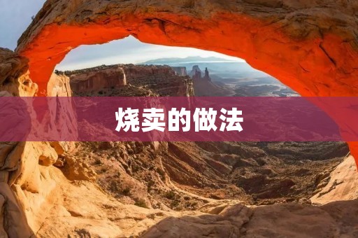 烧卖的做法：传统美食的独特魅力