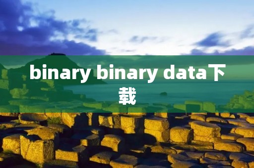 binary binary data下载