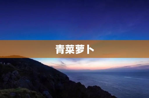 青菜萝卜：健康饮食的不二选择