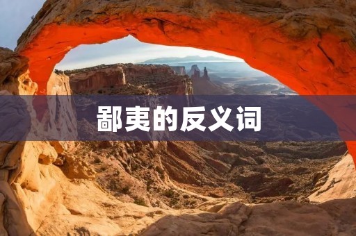 鄙夷的反义词：尊重与包容