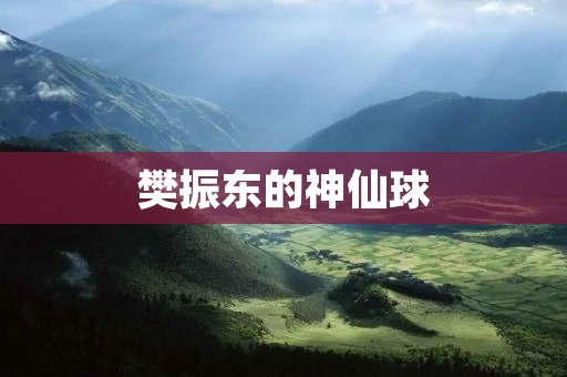 樊振东的神仙球：一位乒乓球天才的独特技艺