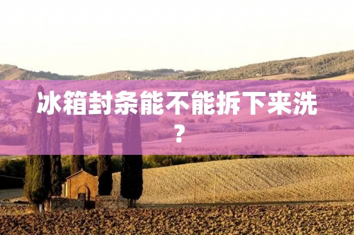 冰箱封条能不能拆下来洗? 冰箱封条能不能拆下来洗?