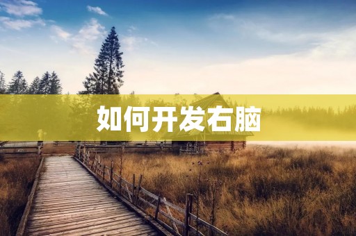 如何开发右脑:培养创造力与想象力