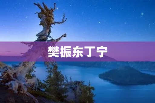 樊振东丁宁:中国乒乓球双雄的辉煌征程 樊振东丁宁:中国乒乓球双雄的辉煌征程