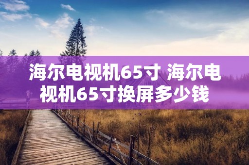 海尔电视机65寸 海尔电视机65寸换屏多少钱