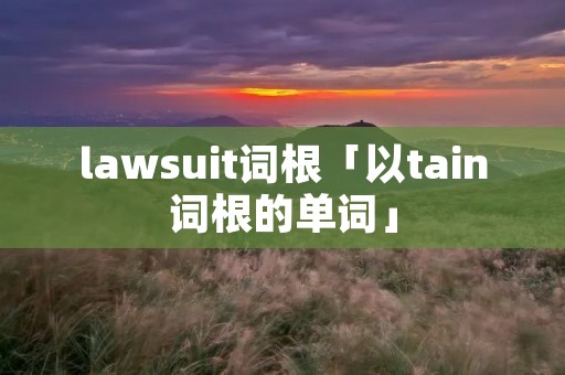 lawsuit词根「以tain词根的单词」