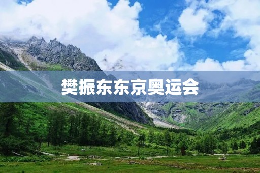 樊振东东京奥运会：中国乒乓球冠军的辉煌时刻