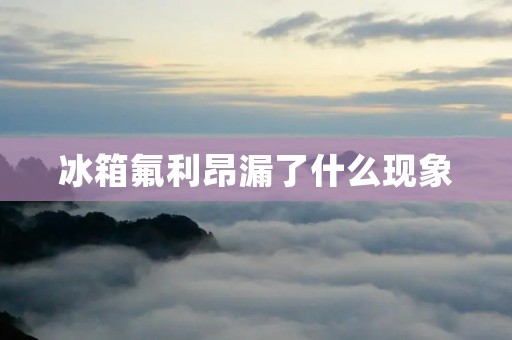 冰箱氟利昂漏了什么现象:保护环境与健康的危机 冰箱氟利昂漏了什么现象:保护环境与健康的危机