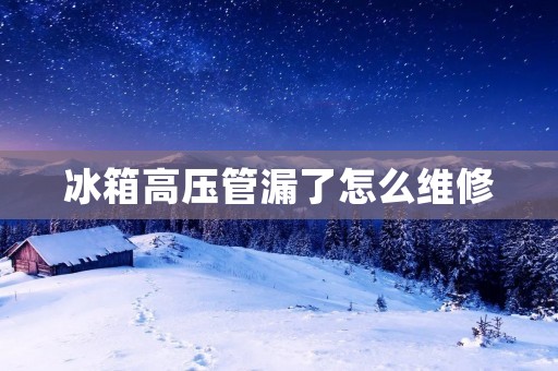 冰箱高压管漏了怎么维修 冰箱高压管漏了怎么维修