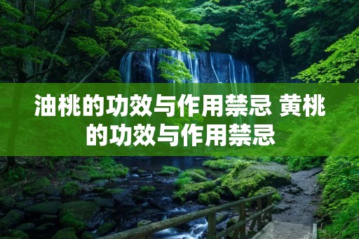 油桃的功效与作用禁忌 黄桃的功效与作用禁忌