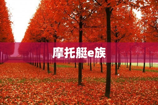摩托艇e族：探索速度与**的极限