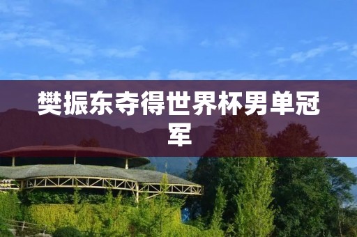 樊振东夺得世界杯男单冠军:中国乒乓球新星破纪录 樊振东夺得世界杯男单冠军:中国乒乓球新星破纪录