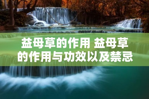 益母草的作用 益母草的作用与功效以及禁忌