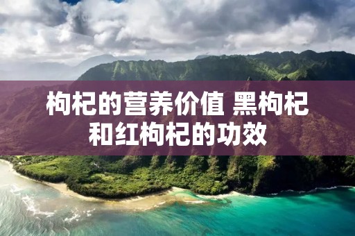 枸杞的营养价值 黑枸杞和红枸杞的功效
