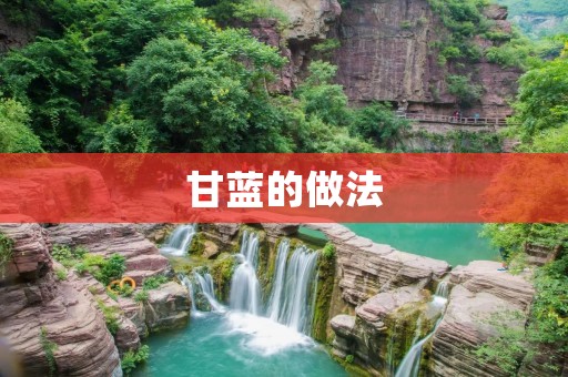 甘蓝的做法:美味又营养的甘蓝佳肴 甘蓝的做法:美味又营养的甘蓝佳肴