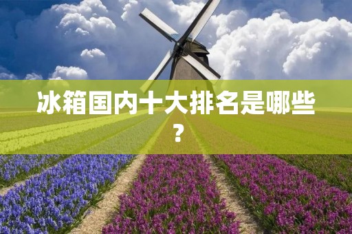 冰箱国内十大排名是哪些？