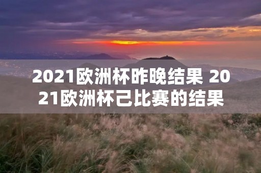 2021欧洲杯昨晚结果 2021欧洲杯己比赛的结果