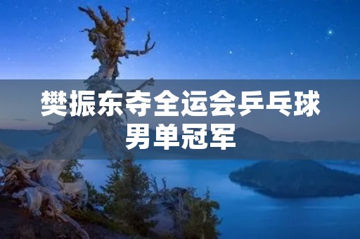 樊振东夺全运会乒乓球男单冠军 樊振东夺全运会乒乓球男单冠军