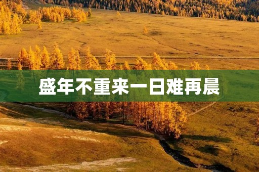 盛年不重来一日难再晨：珍惜时光，把握当下