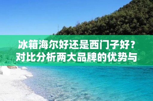 冰箱海尔好还是西门子好？对比分析两大品牌的优势与劣势