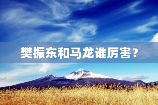 樊振东和马龙谁厉害? 樊振东和马龙谁厉害?