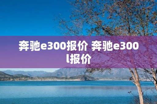 奔驰e300报价 奔驰e300l报价