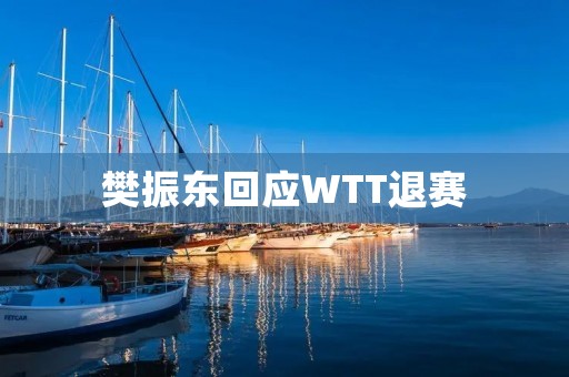 樊振东回应WTT退赛:为何选择退出比赛? 樊振东回应WTT退赛:为何选择退出比赛?