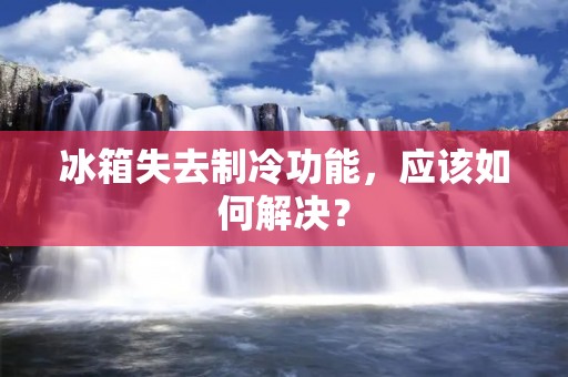 冰箱失去制冷功能，应该如何解决？