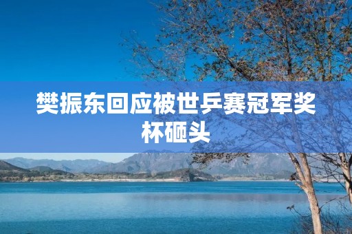 樊振东回应被世乒赛冠军奖杯砸头:保持冷静,坚定前行 樊振东回应被世乒赛冠军奖杯砸头:保持冷静,坚定前行