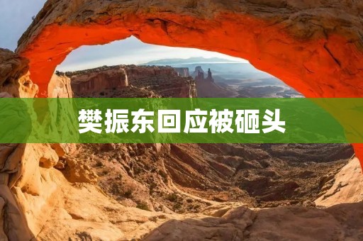 樊振东回应被砸头:坚决反对暴力行为 樊振东回应被砸头:坚决反对暴力行为