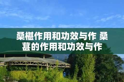 桑椹作用和功效与作 桑葚的作用和功效与作