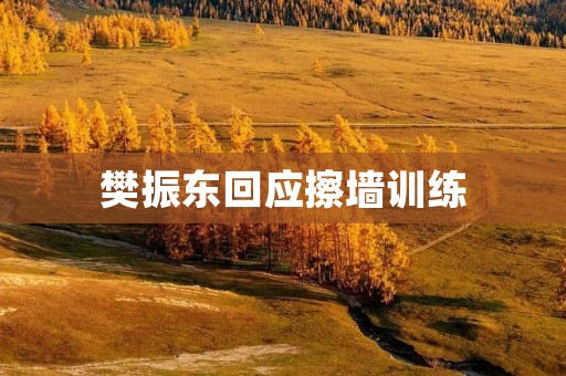樊振东回应擦墙训练