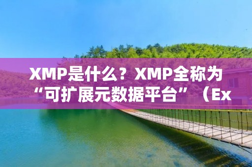 XMP是什么？XMP全称为“可扩展元数据平台”（Extensible Metadata Platform），是一种用于描述和嵌入元数据的技术标准。它最初由Adobe公司开发，旨在为数字媒体文件提供更加丰富和灵活的元数据支持。XMP的出现，为数字内容的管理和交流提供了更为便捷和高效的方式。