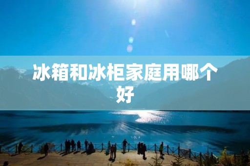冰箱和冰柜家庭用哪个好
