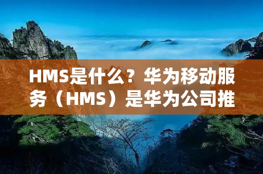 HMS是什么？华为移动服务（HMS）是华为公司推出的一套移动开发服务，旨在为开发者提供一站式的移动应用开发解决方案。HMS包含了多个组件和工具，例如应用开发框架、云服务、广告服务、支付服务等，为开发者提供了丰富的功能和服务，帮助他们快速构建高质量的移动应用。本文将详细描述HMS的特点、功能以及对开发者的意义。
