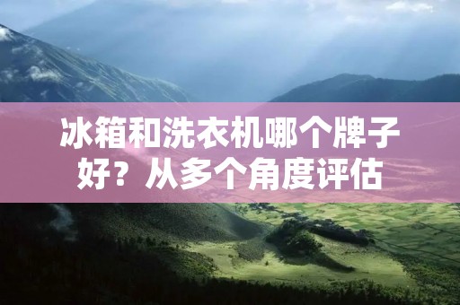 冰箱和洗衣机哪个牌子好？从多个角度评估